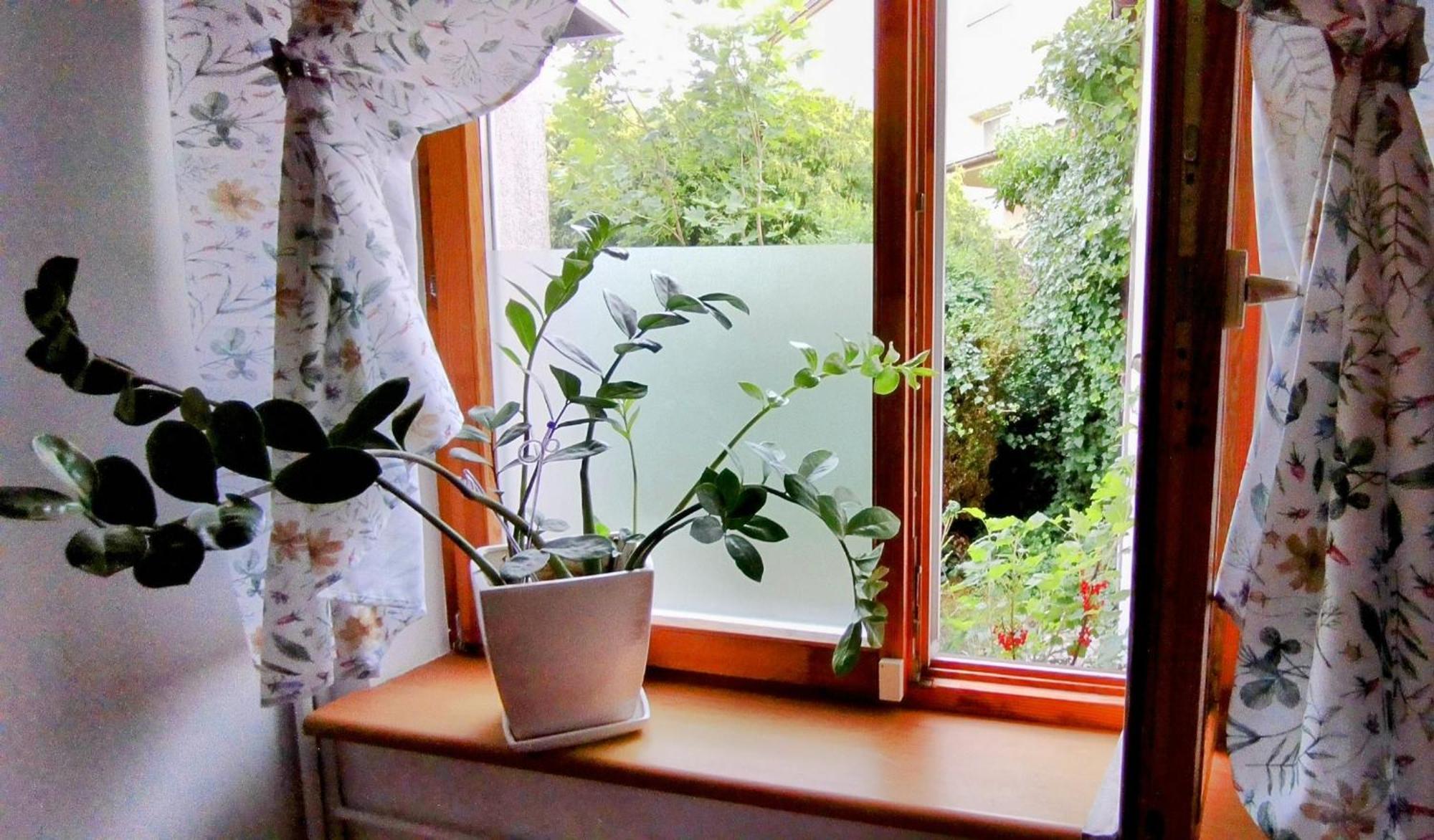 Plocka 15 Apartment *